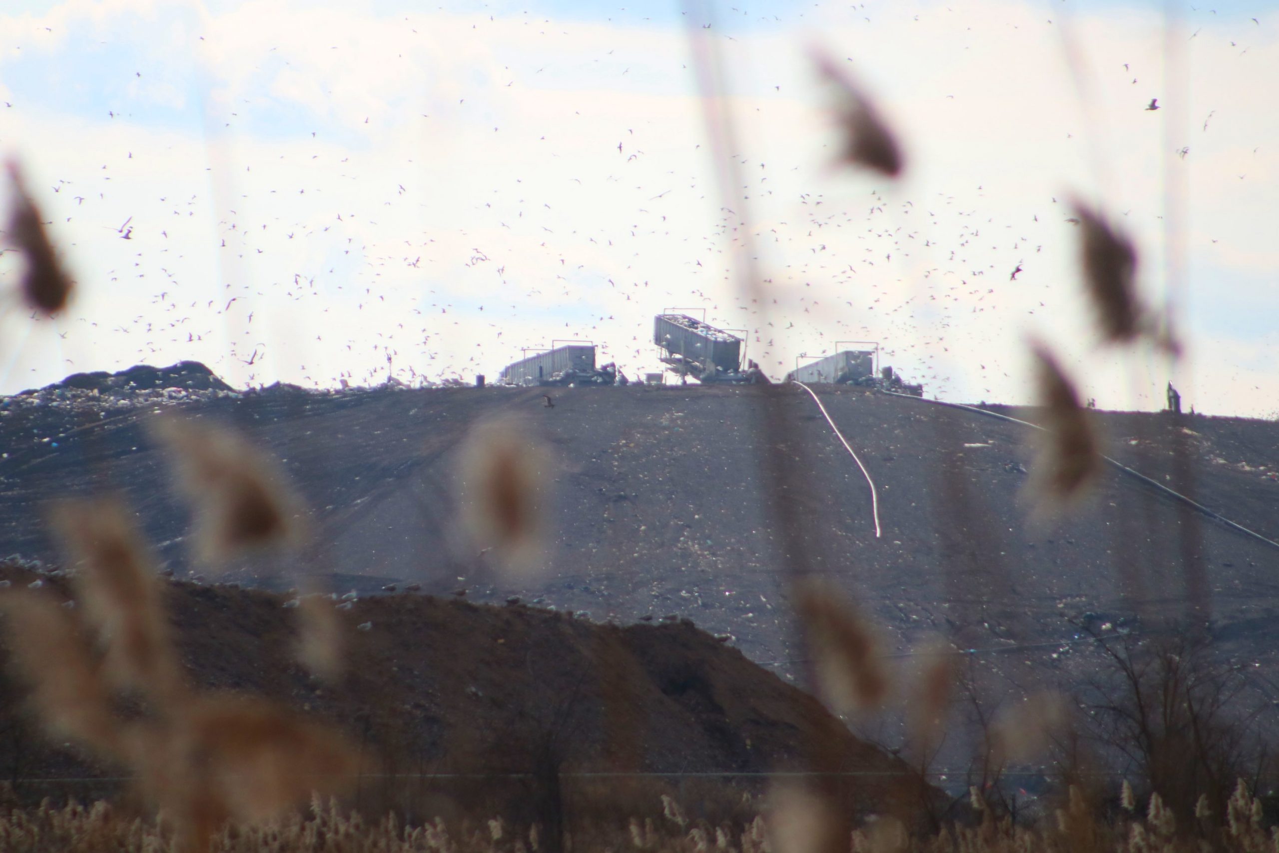 Waste Management To Expand Landfill In Falls Twp.