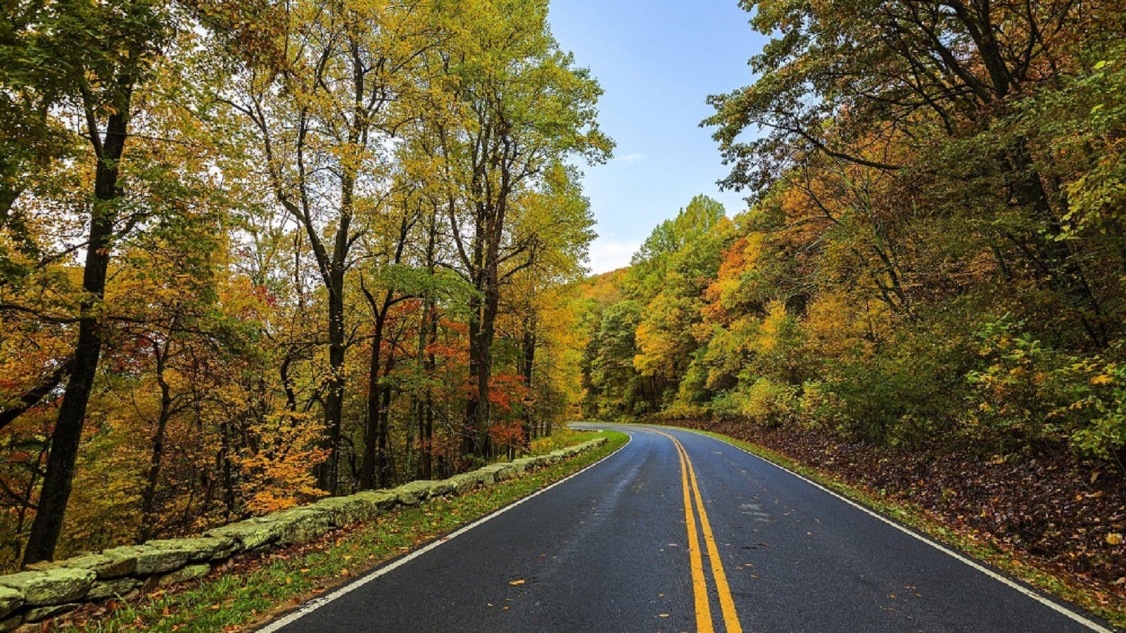 NC's Rural Roads Could Cause a Need for Auto Accident Lawyers