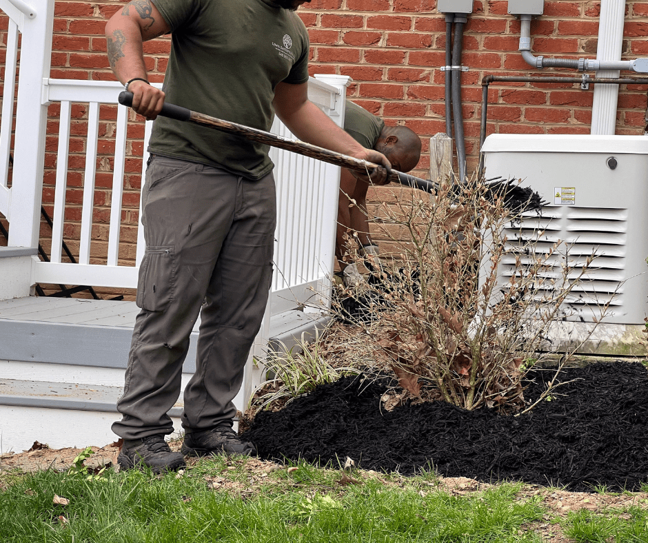 Why Winter Is the Best Time for Certain Landscaping Projects