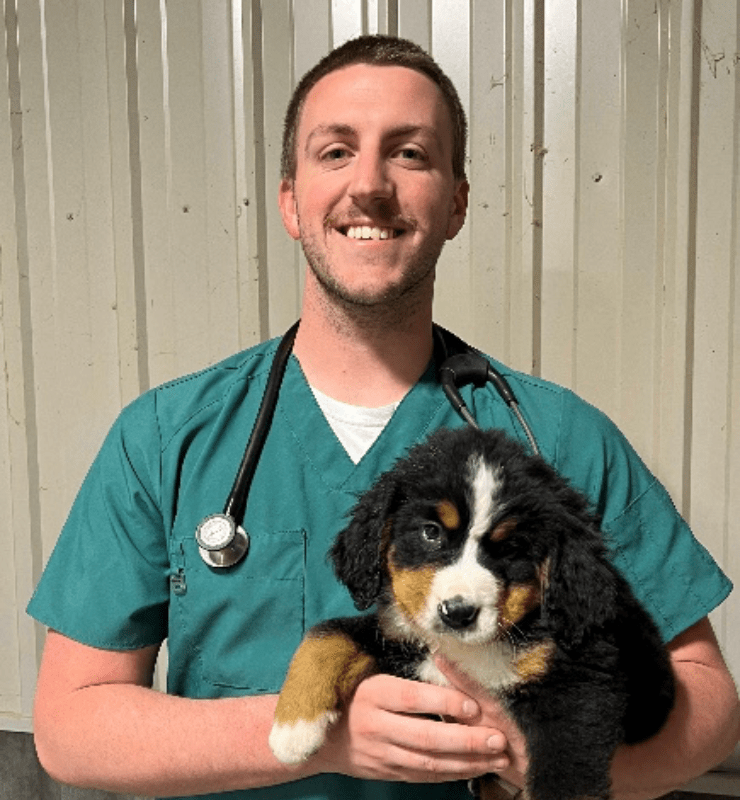 Veterinarian In Lewiston, MN 5595 Lewiston Vet Clinic