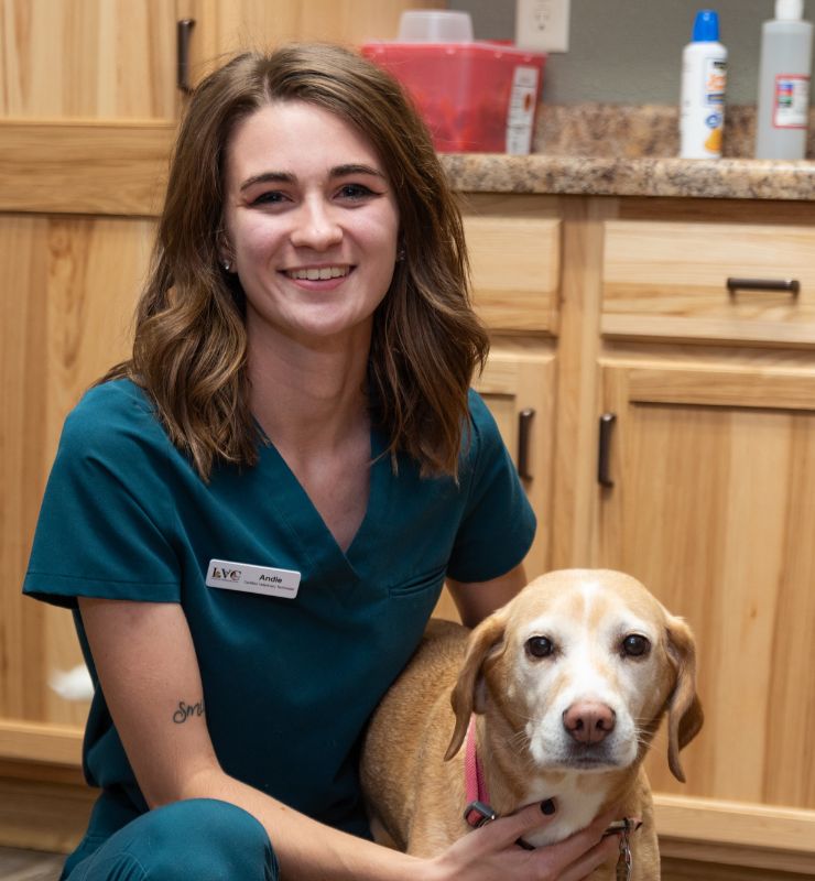 Veterinarian In Lewiston, MN 5595 Lewiston Vet Clinic