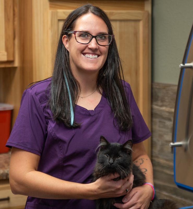 Veterinarian In Lewiston, MN 5595 Lewiston Vet Clinic