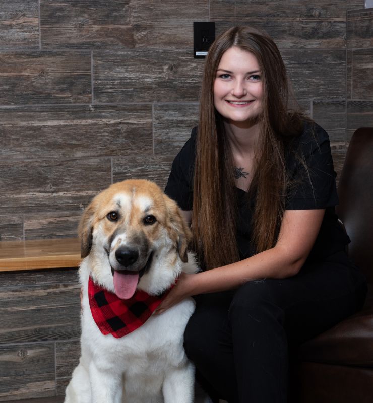 Veterinarian In Lewiston, MN 5595 Lewiston Vet Clinic