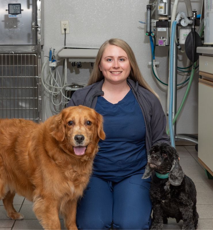 Veterinarian In Lewiston, MN 5595 Lewiston Vet Clinic