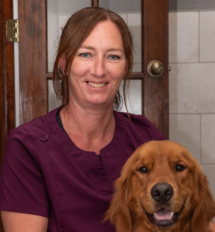 Veterinarian In Lewiston, MN 5595 Lewiston Vet Clinic