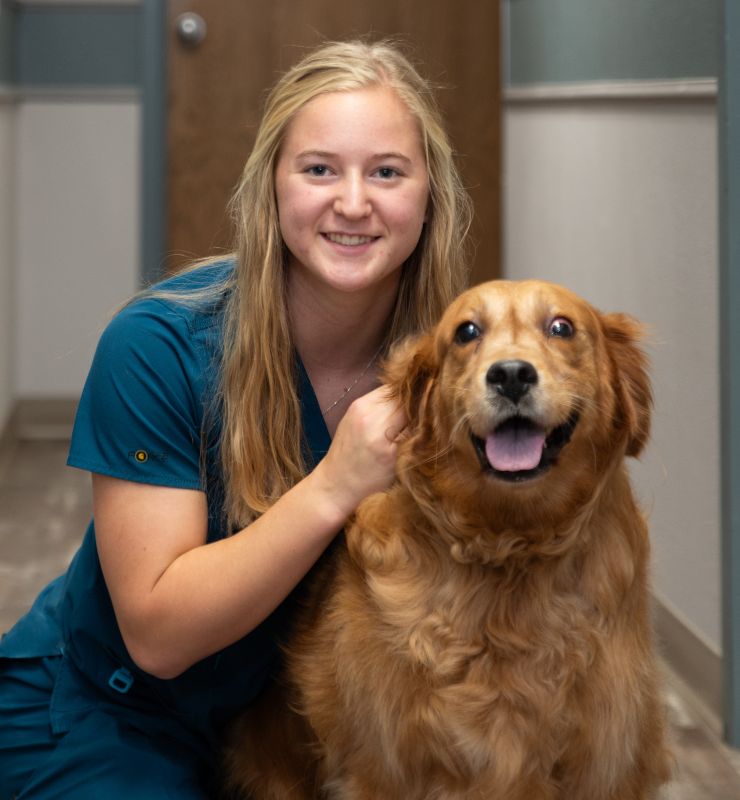 Veterinarian In Lewiston, MN 5595 Lewiston Vet Clinic