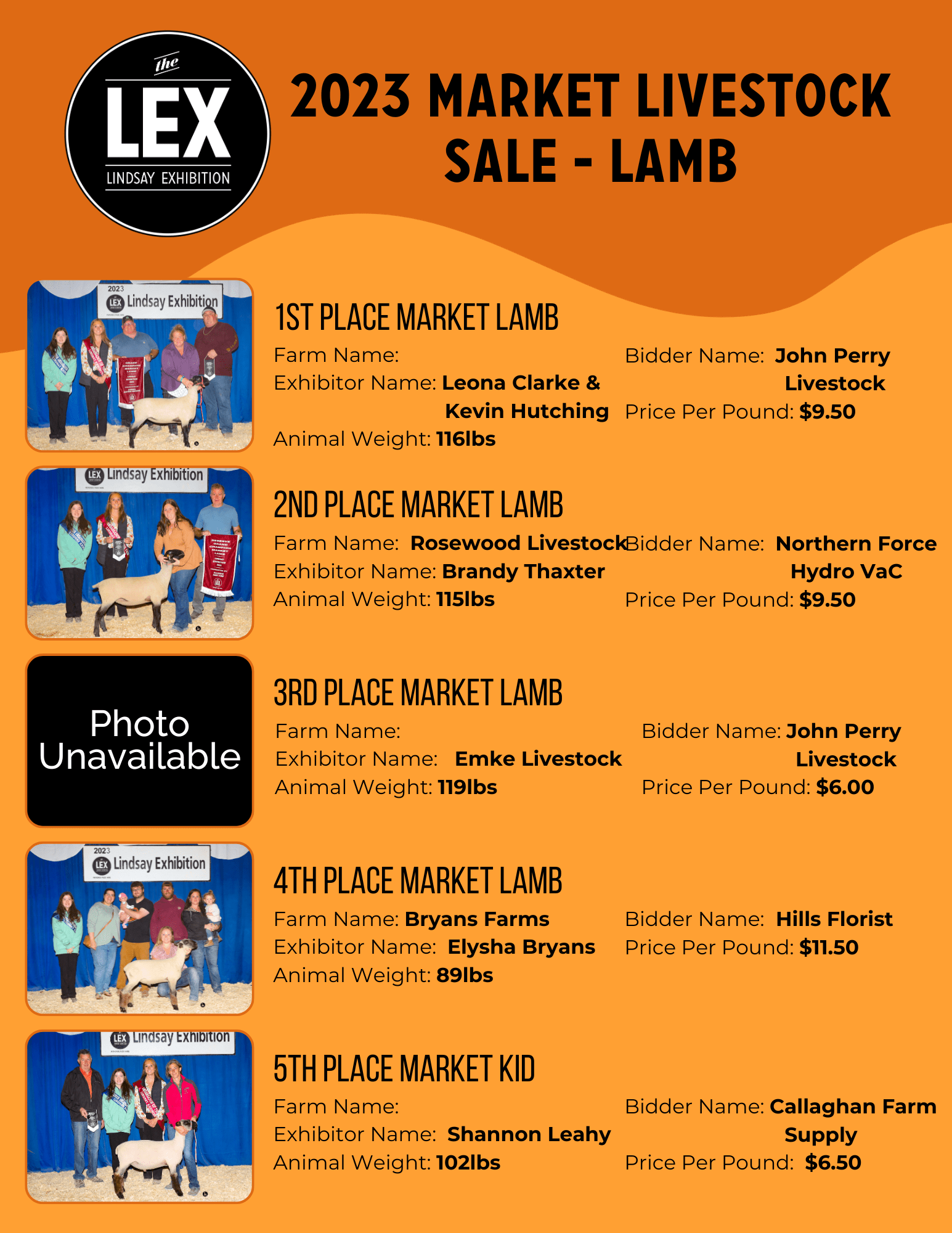 Market Livestock Sale Lindsay Exhibition