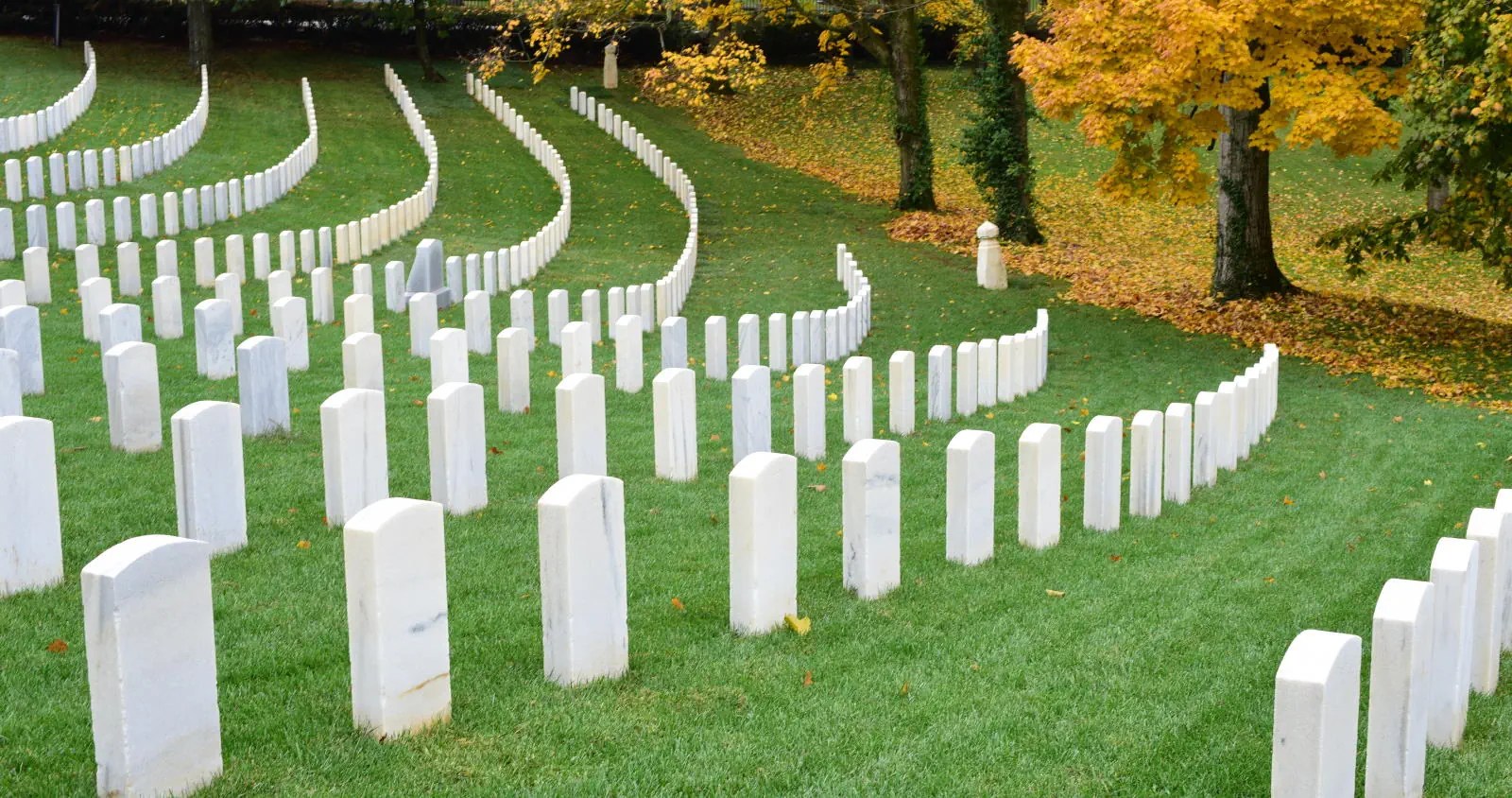 Lexington Cemetery Lexington Cemetery