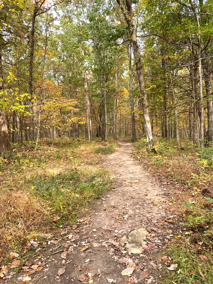 Hike the Kentucky River Palisades/Tom Dorman State Nature Preserve
