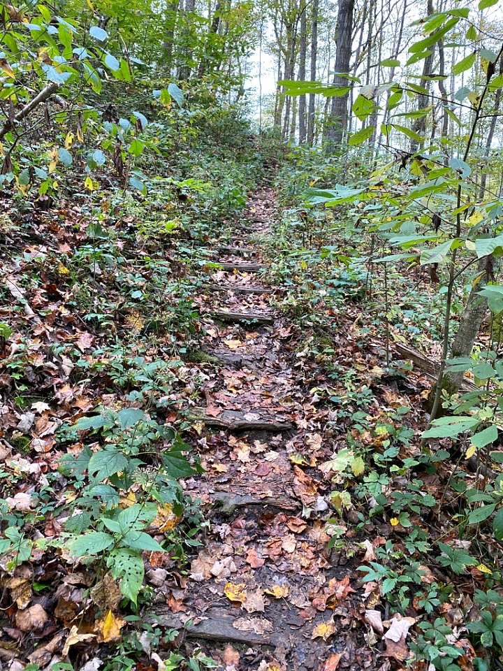 Hike the Kentucky River Palisades/Tom Dorman State Nature Preserve