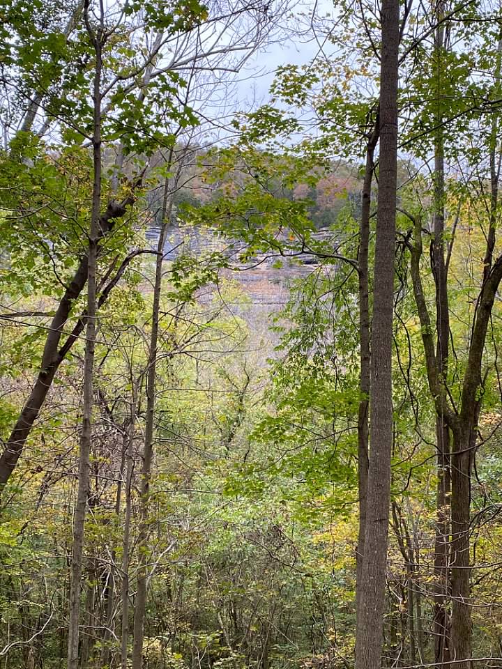 Hike the Kentucky River Palisades/Tom Dorman State Nature Preserve
