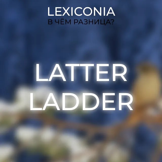 Различия между Latter и Ladder примеры и перевод