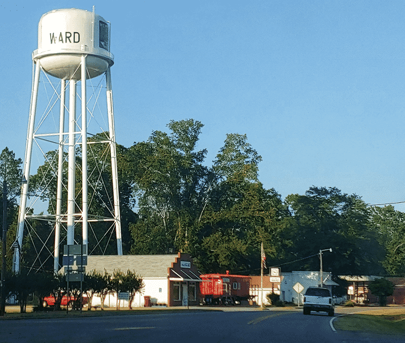 Saluda County Is Full of Small Town Vibes Crystal Wallace Realtor