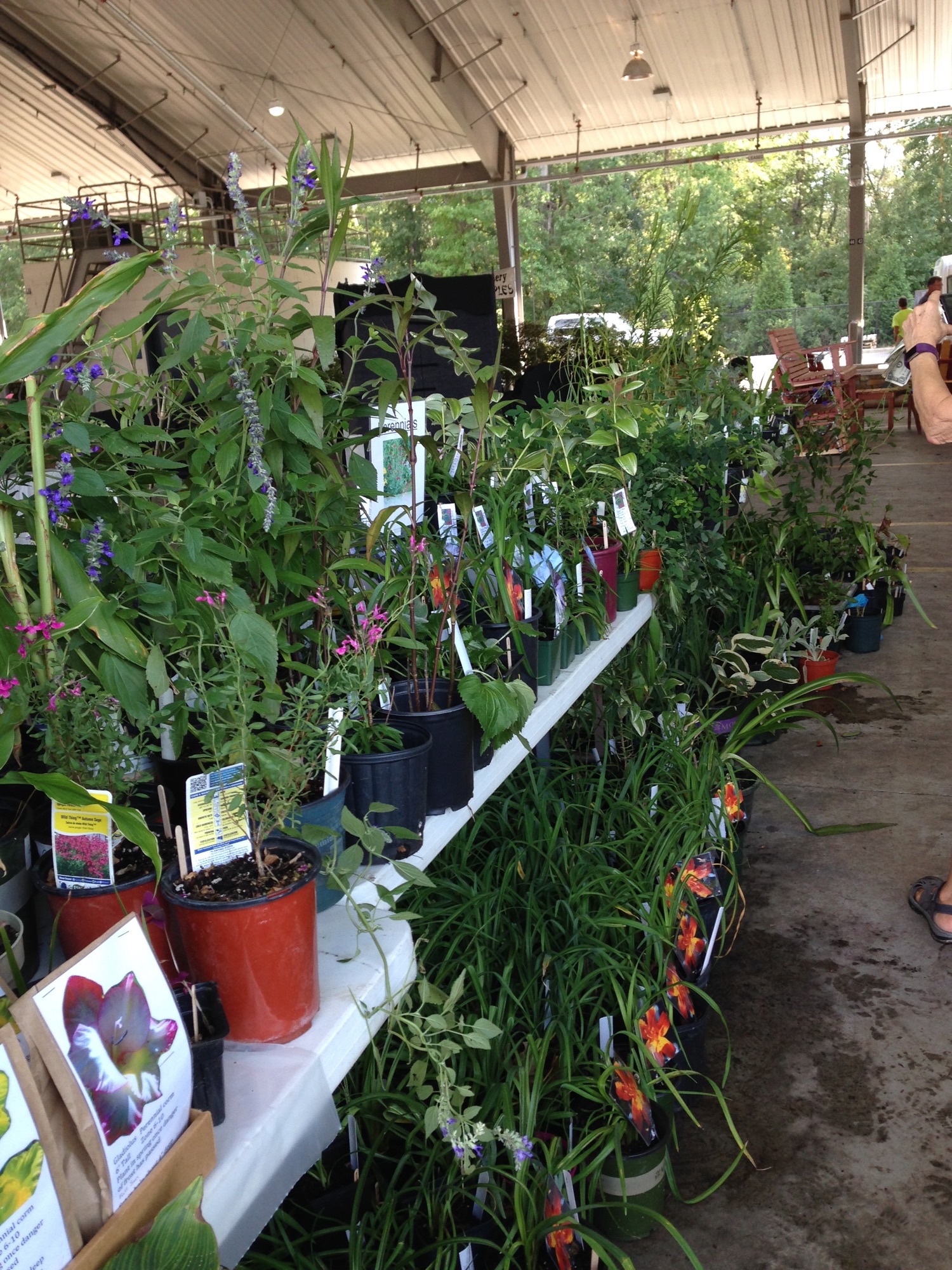 Plant Sale Lexington County Master Gardener Volunteers