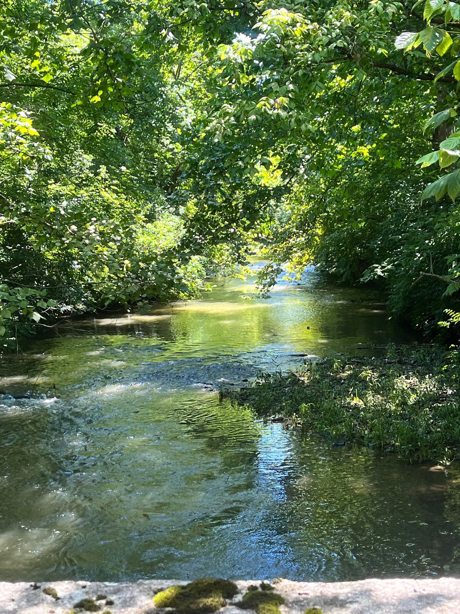 Installation Spotlight The Ruin Bed and Breakfast Versailles, KY