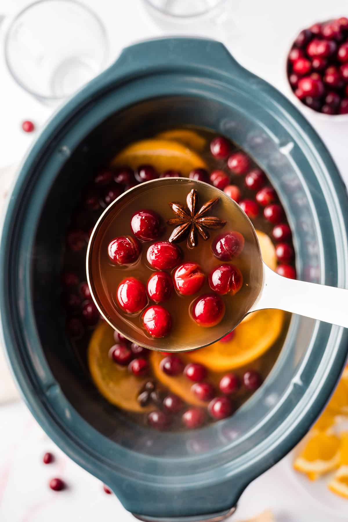 TwoIngredient Salsa Chicken (Instant Pot or Slow Cooker) Lexi's