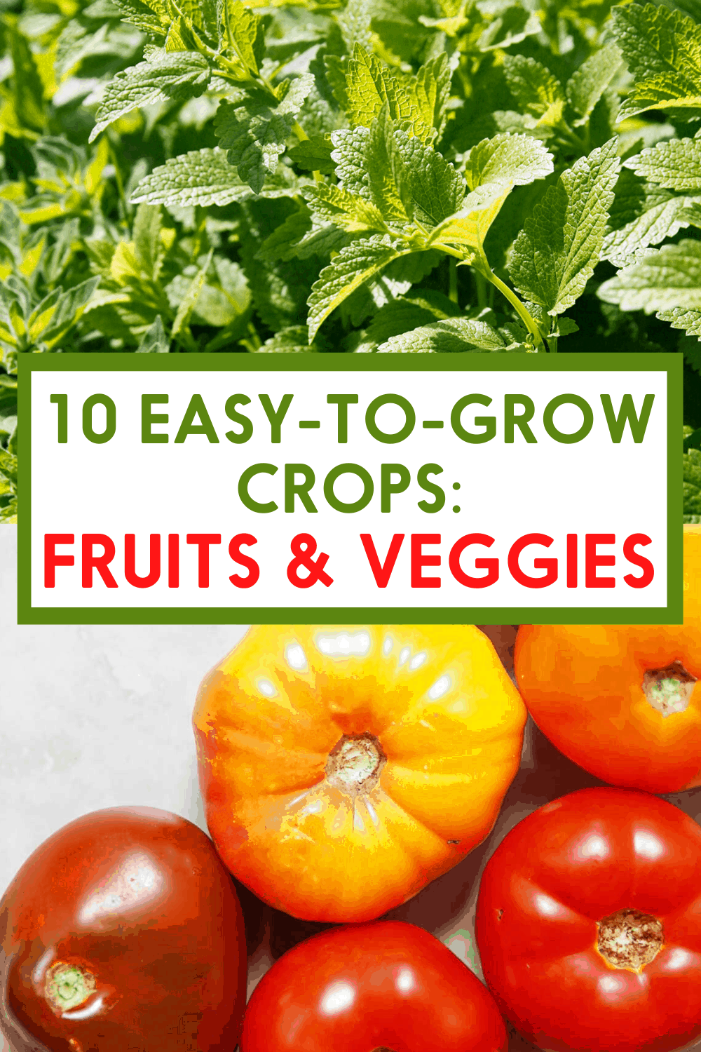 10 Easy Fruit and Vegetables to Grow Lexi's Clean Kitchen