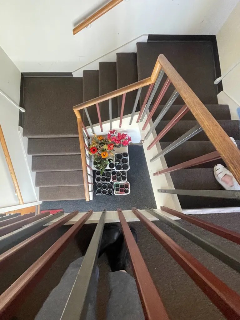 The director of Lexington's Housing Authority talks about new kitchens and baths, energy