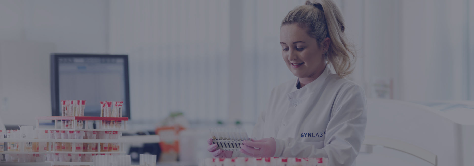 Lextox Workplace testing V2 Lextox