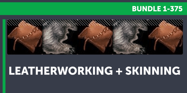 Buy WoW Burning Crusade in Leatherworking + Skinning bundle (1375