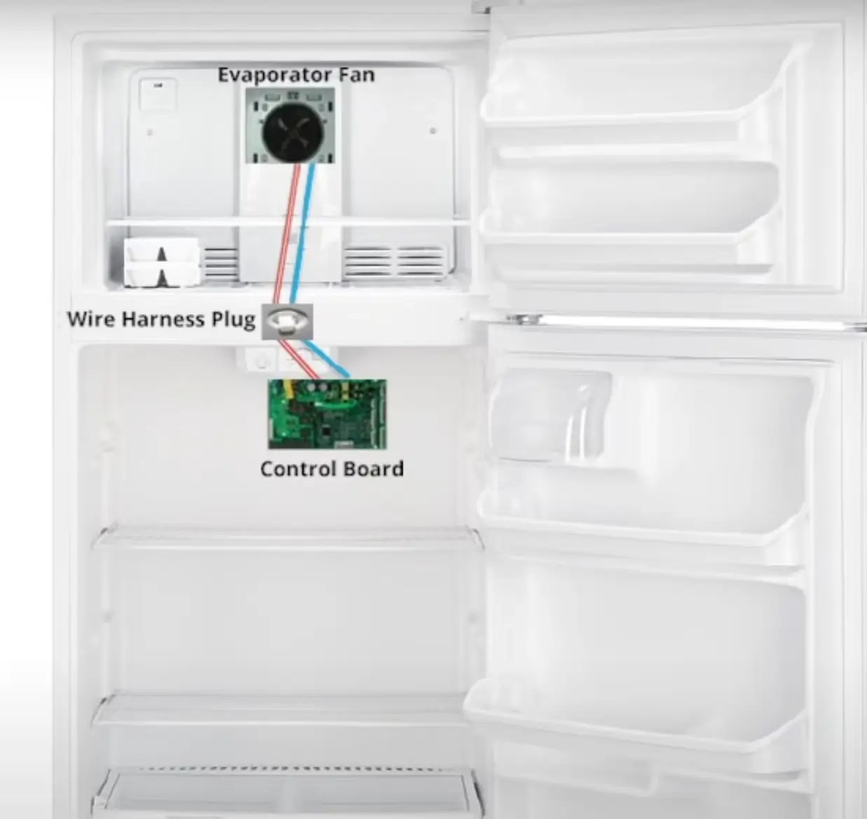 Why Is My LG Refrigerator Not Cooling? Simple Fix