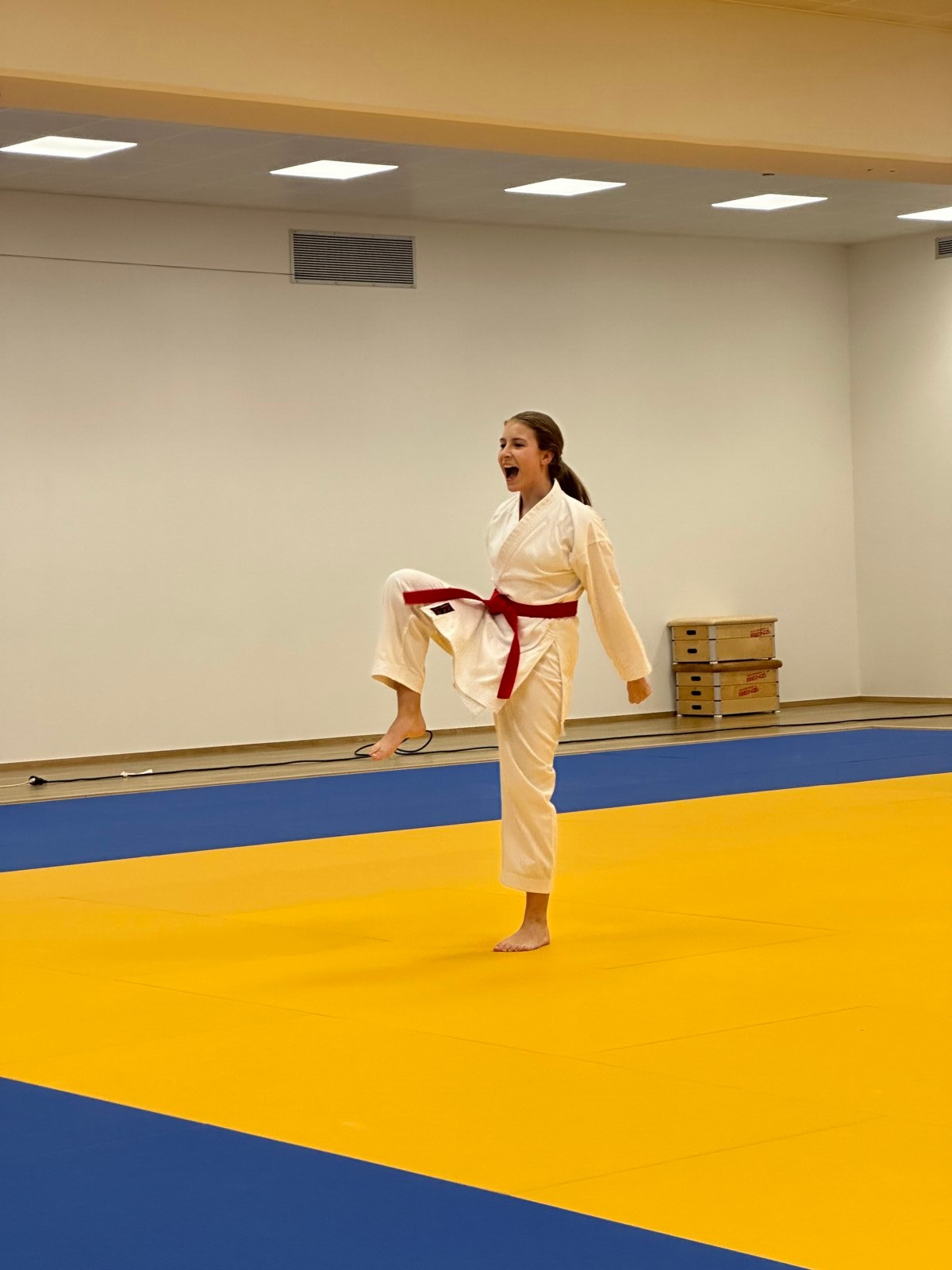 Lycée de Garçons Esch Compétitions LASEL du 23 novembre 2023