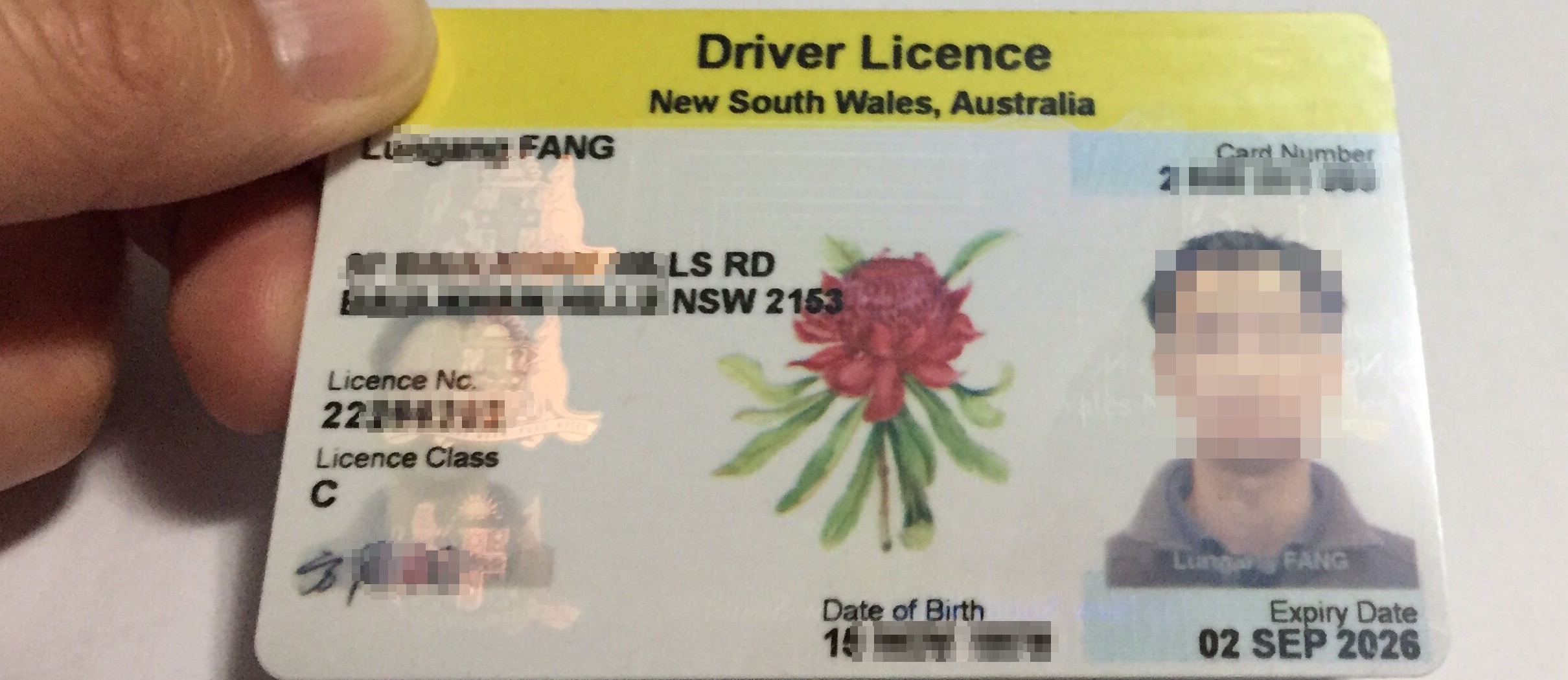 长登澳洲：考驾照