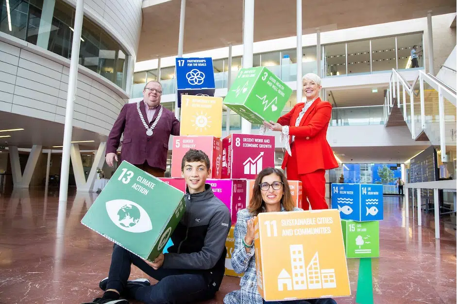 Cork County Council A month in the life LGiU