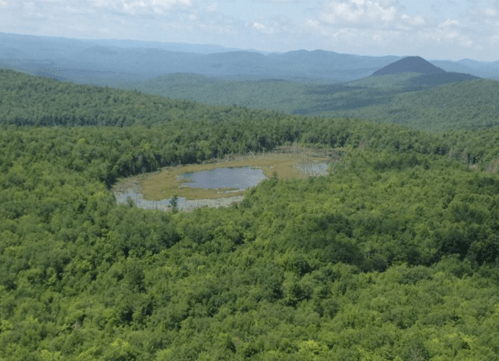 Berry Pond Lake Land Conservancy