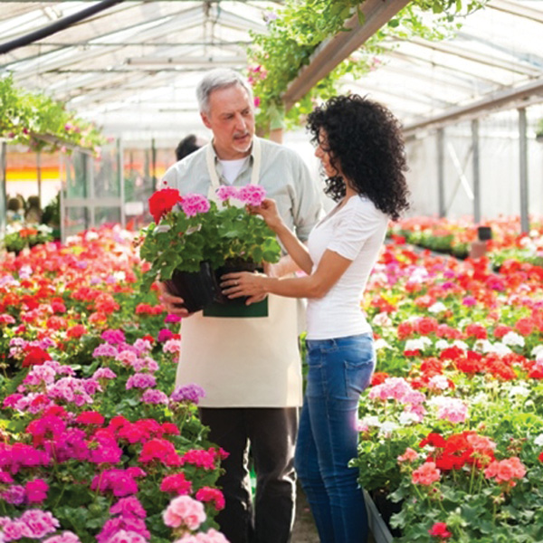 LGM Soil Amendments DM Color Express Inc. Nurseries