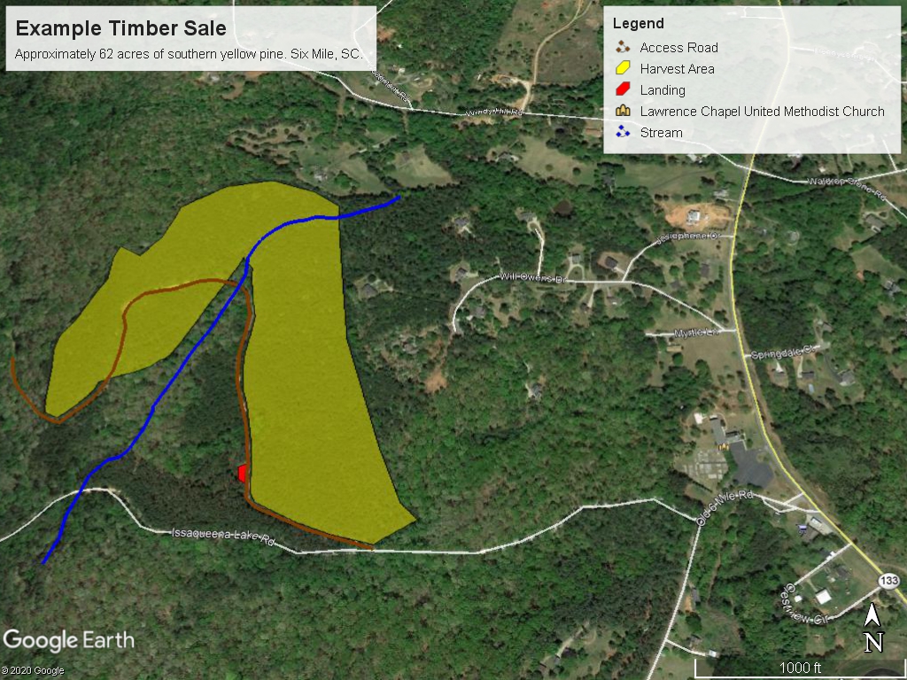 Sealed Timber Bids What You Need to Know to Sell Your Timber LandGrant Press
