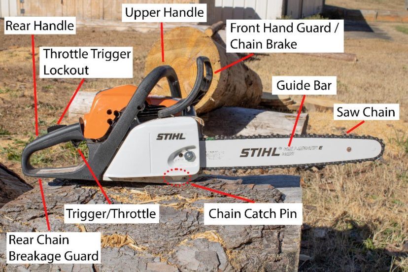 How to Stay Safe Around Chainsaws LandGrant Press