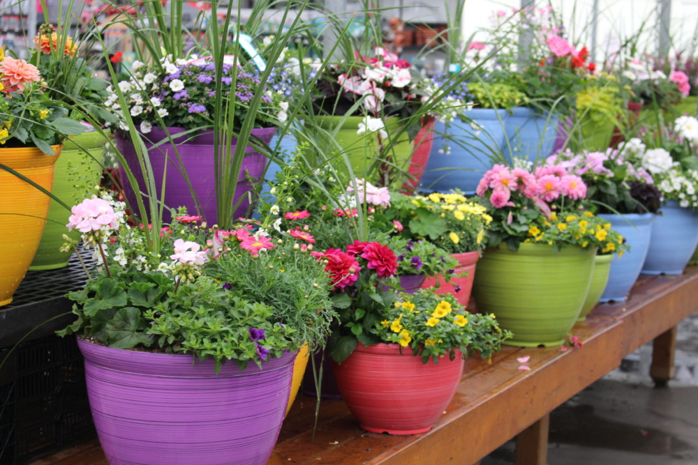 Green Goods Lawn & Garden Retailer