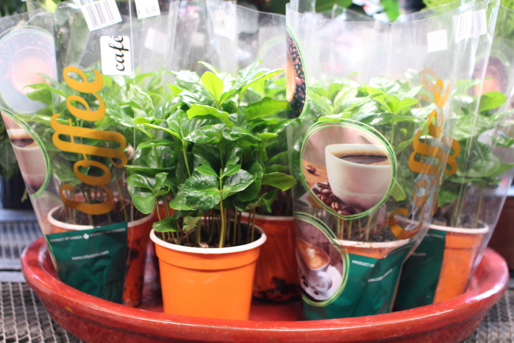 As Seen in Philadelphia Lawn & Garden Retailer