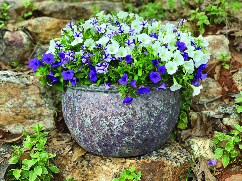 Michael Carr Designs Lawn & Garden Retailer