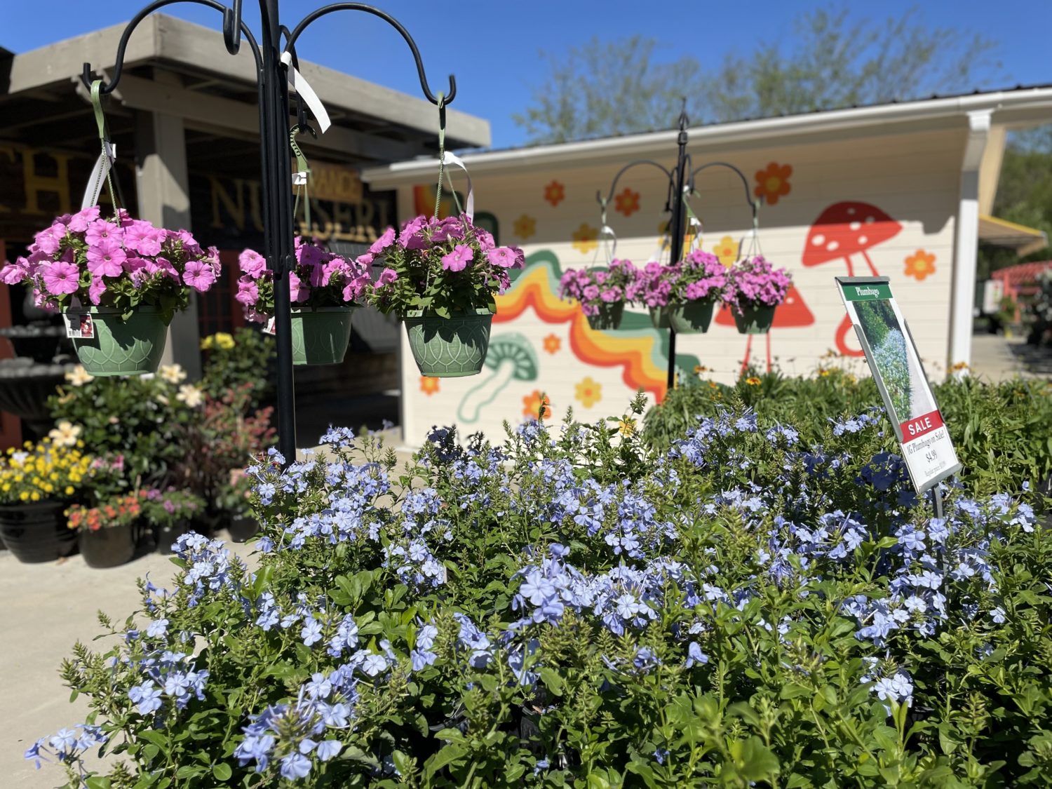 Flower Nursery In Dothan Al Best Flower Site