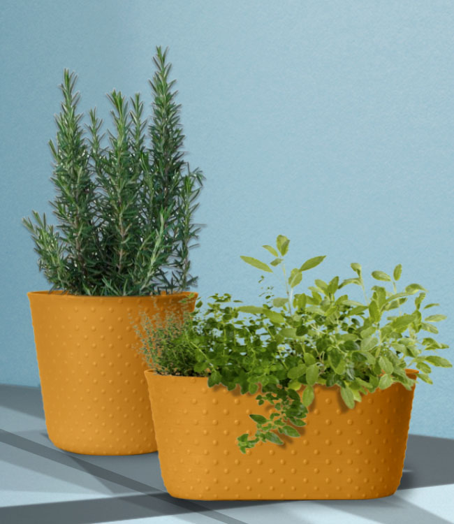 Indoor Pots Lawn & Garden Retailer