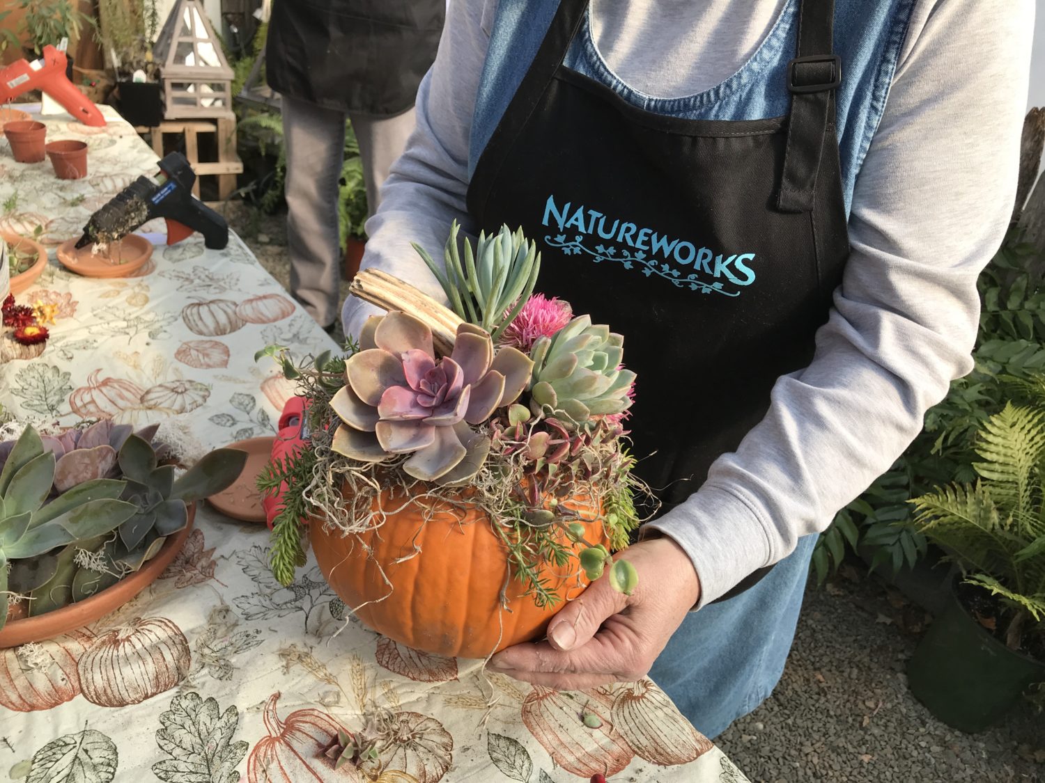 Focused on Organic Gardening Lawn & Garden Retailer