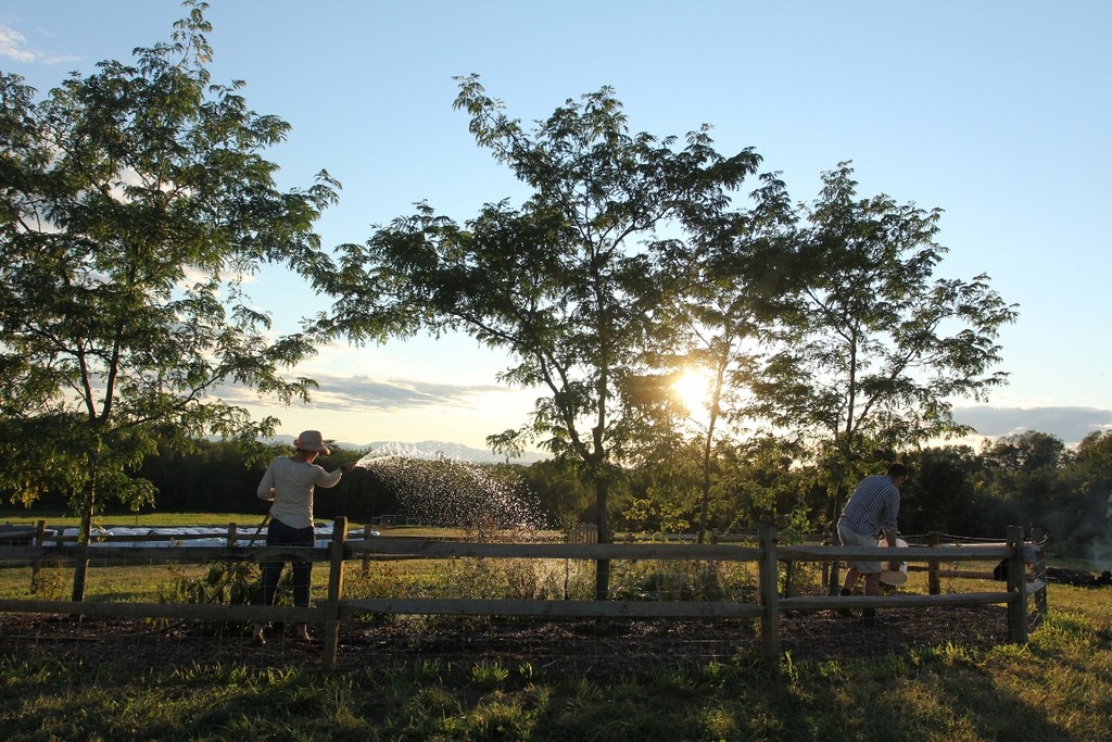 Roxbury Farm LocalHarvest