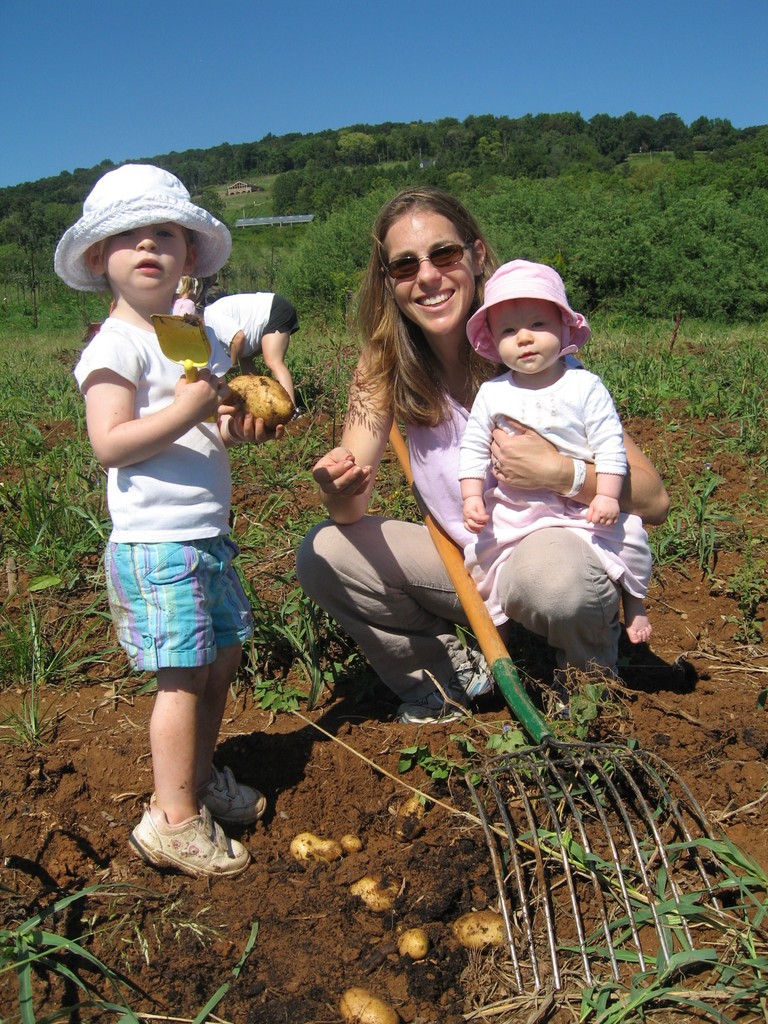 Great Country Farms LocalHarvest