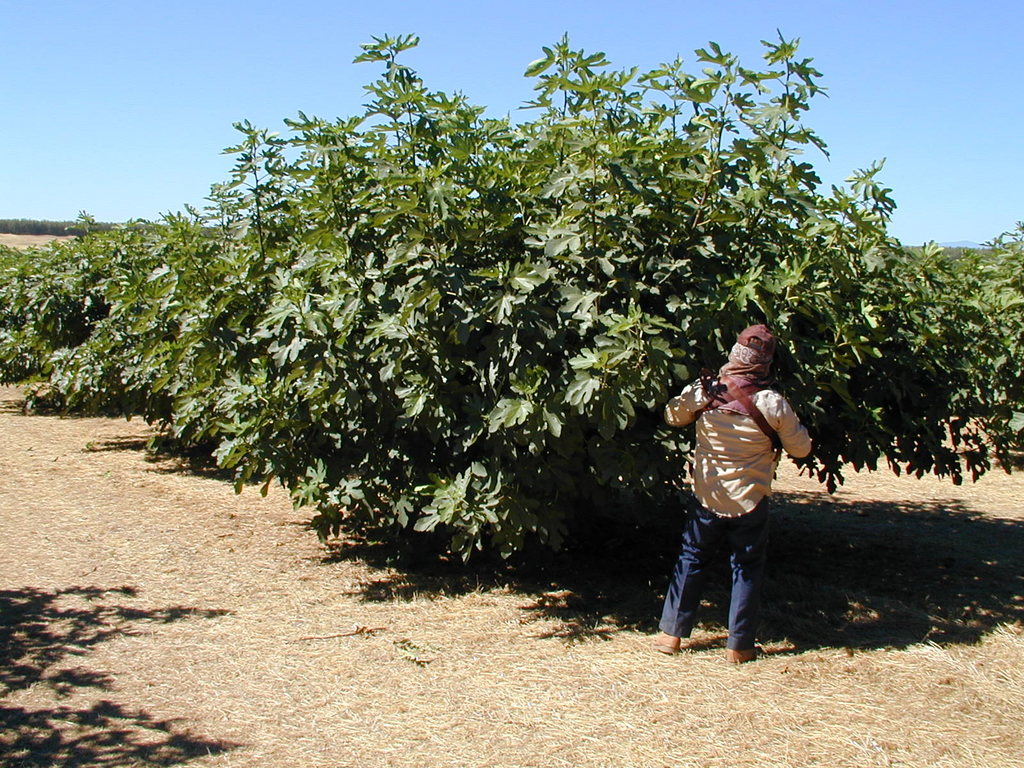 Maywood Farms LocalHarvest