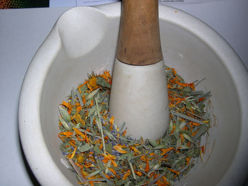 Healing Spirits Herb Farm and Education Center