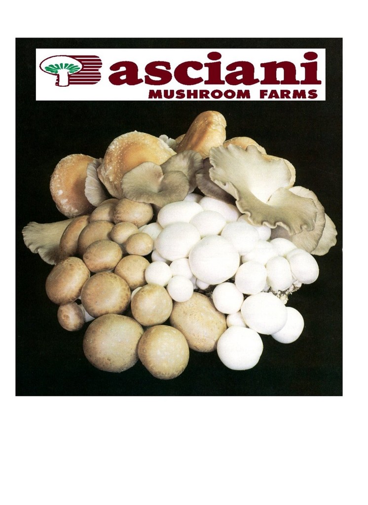 Basciani Mushroom Farms LocalHarvest