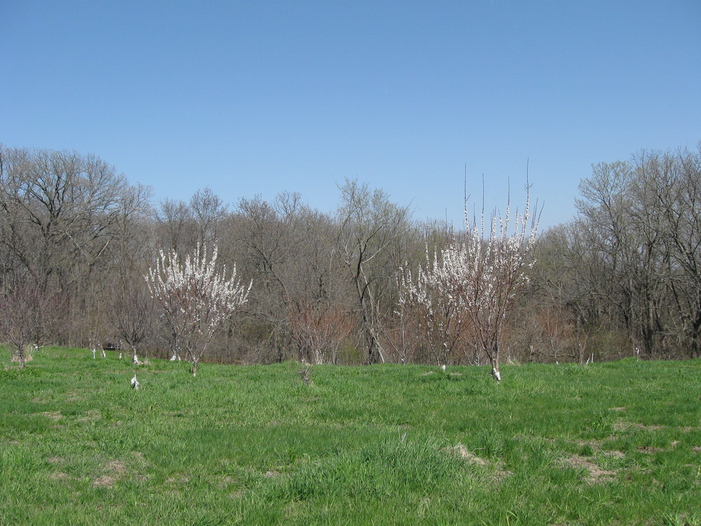 Burr Oak Farm LocalHarvest