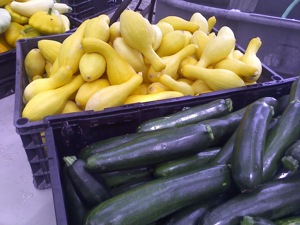 Beasley Farm of Brooksville LocalHarvest