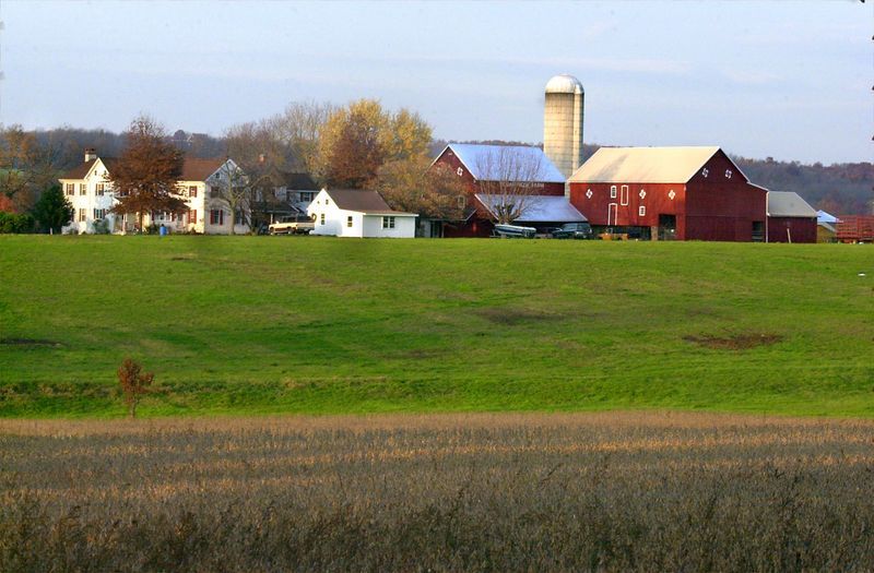 Yoder's Farm Market at Cedar Ridge Farm LocalHarvest