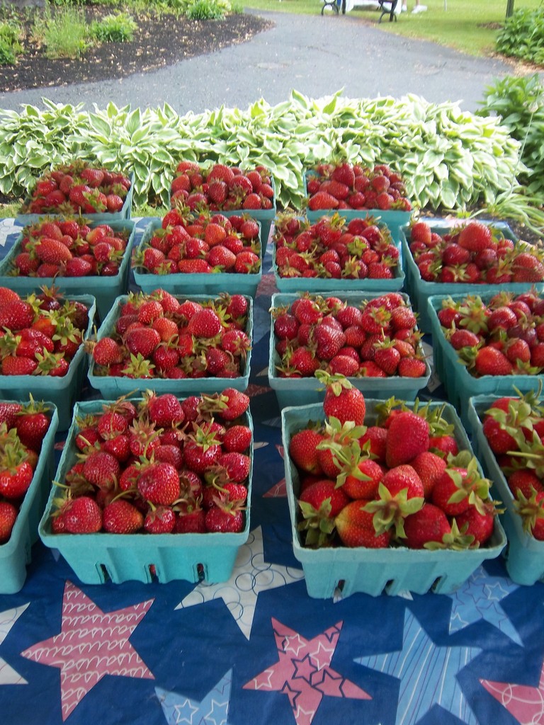 Ballston Spa Farmers Market LocalHarvest