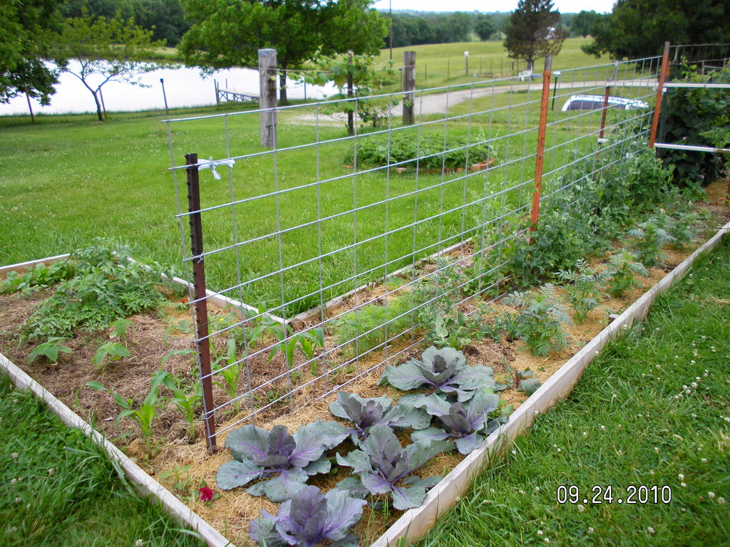 Clearview Farm LocalHarvest