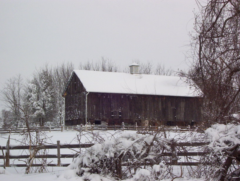 Forever Endeavor Farm LocalHarvest
