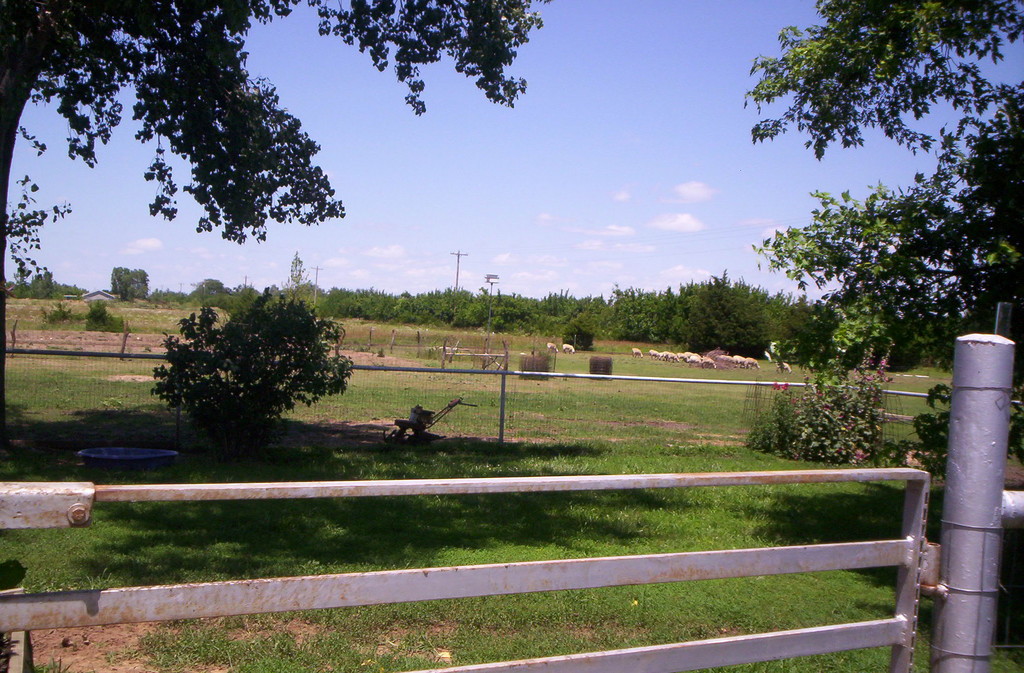 Cottonwood Farm LocalHarvest